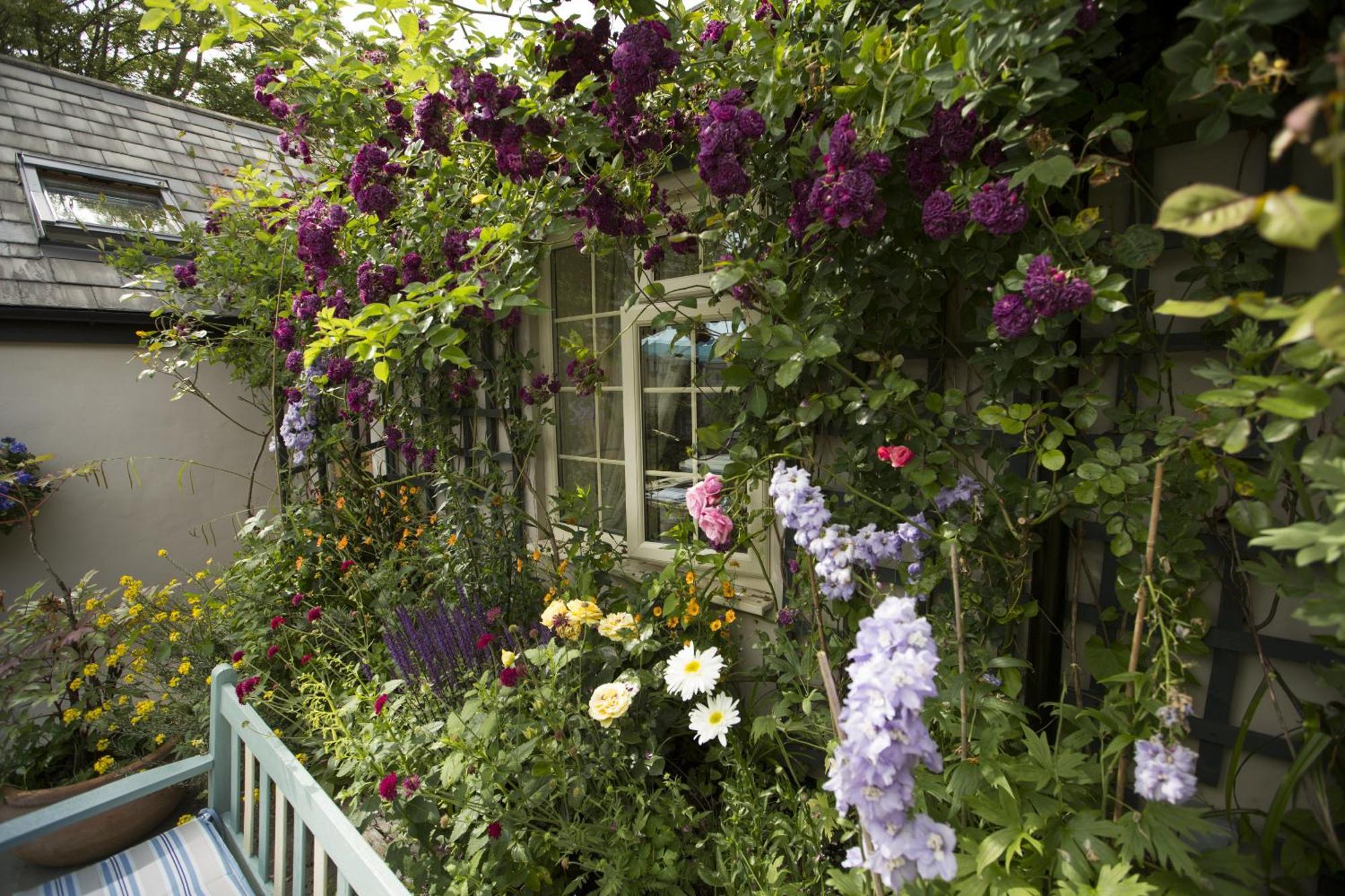 サイレンセスター ジ オールド ブリューハウス Bed & Breakfast エクステリア 写真